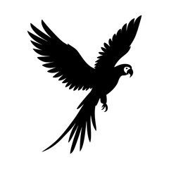 Obraz premium Flying parrot vector illustration avian wildlife tropical bird design art silhouette