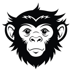 Animated monkey face with large ears and expressive eyes gazes forward intently