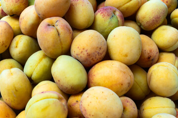 Fresh Apricots on a Market Stall. A Vibrant Display of Apricots Celebrating Bounty of Nature. The Essence of Summer. Juicy Apricots Evoking Joy and Abundance.