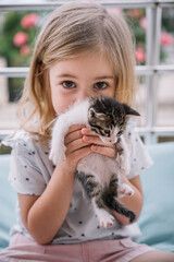 Child plays with a gray and white kitten during a warm afternoon indoors