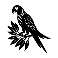 Obraz premium Parrot vector tropical bird illustration exotic wildlife silhouette art