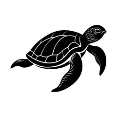 Fototapeta premium Sea turtle ocean wildlife marine reptile aquatic animal oceanography vector silhouette