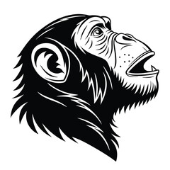 Black and white chimpanzee head looks upward with its mouth open in profile