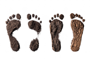 Mud Footprints on Ground