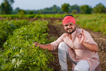 young indian farmer sitting at Ladyfinger field