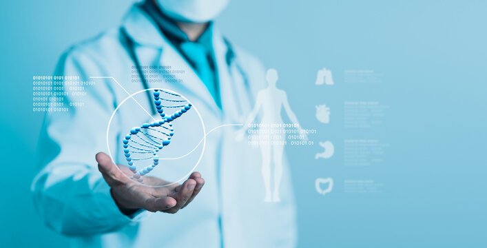 Doctor Holding DNA Helix and Human Body Diagram for Genetic Research