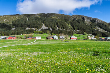 Scenic Countryside Meadow with Colorful Houses and Majestic Forested Hills, Runde, Norway