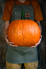 Close-up of farmer holding large orange pumpkin during autumn harvest season. Thanksgiving produce scene with natural food, holiday preparation, and rural lifestyle