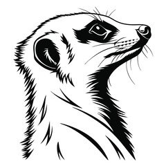 Upward gaze of a black and white meerkat reveals keen observation skills in nature