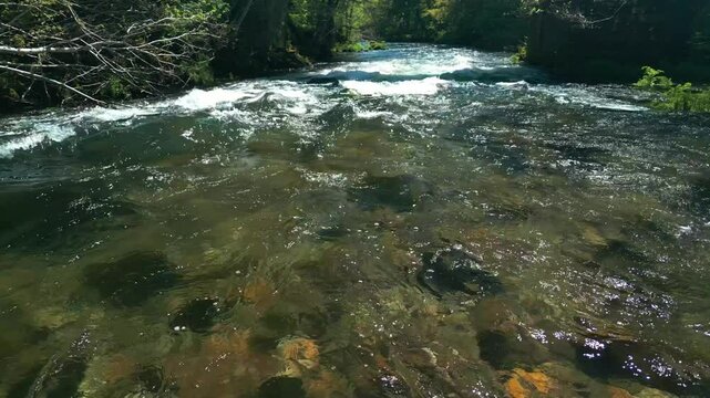Fast Flowing Stream Of Rio Lerez Near Pedre, Cerdedo-Cotobade, Pontevedra, Galicia, Spain. Close-up Shot