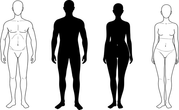 Human Body Silhouettes & Outlines: Male & Female Anatomy