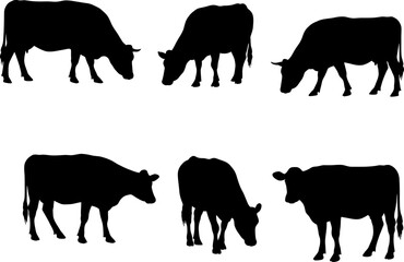  Farm Cow Silhouettes: Livestock & Rural Agriculture Vector Set