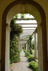 Stone archway and pergola in the garden with green shrubs and climbing plants