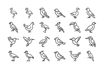 Collection of bird icons in outline style