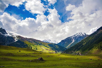 Lush Green Valley and Snow-Capped Mountains in Sonamarg, Kashmir under Dramatic Cloudy Sky &mdash; Scenic Landscape of Indian Himalayas
