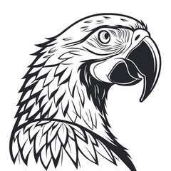 Monochrome macaw portrait features intricate line work detailing plumage and expressive eye on white