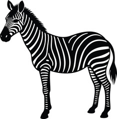 Black and White Zebra Standing Calmly Isolated on a White Background