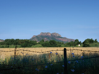 Rocher de Roquebrune sur Argens