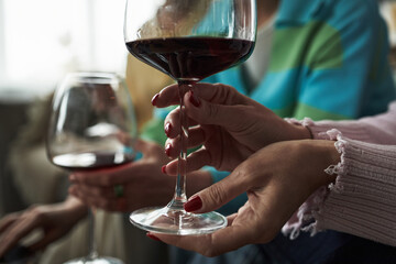 Caucasian young adult women holding wine glasses, sitting together and socializing, close up of hands with manicured nails, adult girlfriends enjoying leisure time indoors