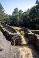 mountain stream in the mountains