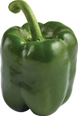 Green Pepper Without Background