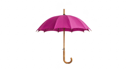 Pink Umbrella Isolated