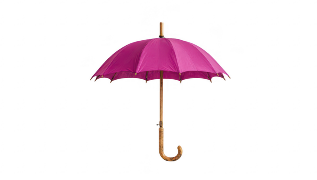 Pink Umbrella Isolated