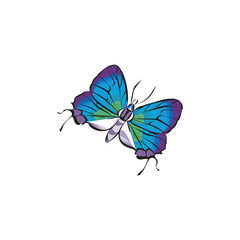 Elegant Blue Green Butterfly Illustration