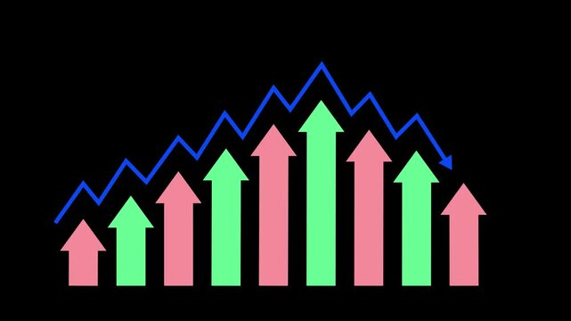 Stylized Growth and Decline Graph Animation, Business Performance Bar Graph in Flat Minimalist Style Animation