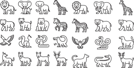 Black And White Line Art Illustrations Of Various Animals Including Lions Elephants Giraffes Zebras Bears Birds