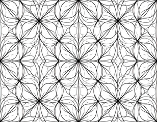 Floral Line Art
