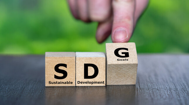 Cubes form the acronym SDG (sustainable development goals)