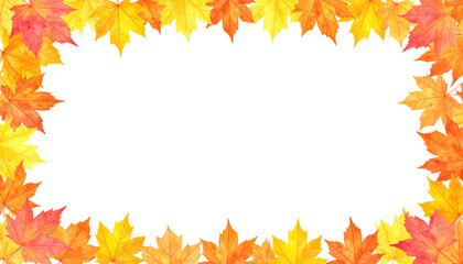 Colorful autumn maple leaves create a bright border, frame, and background