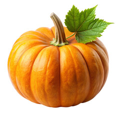 pumpkin isolated on white background