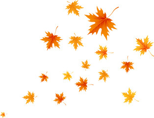 Orange Yellow Autumn Maple Leaves. Fall Pattern. Season Plant  Design Element. Thanksgiving Ornament