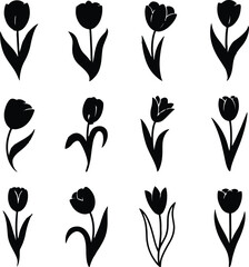 Silhouette design of a detailed landscape created in black with transparent background