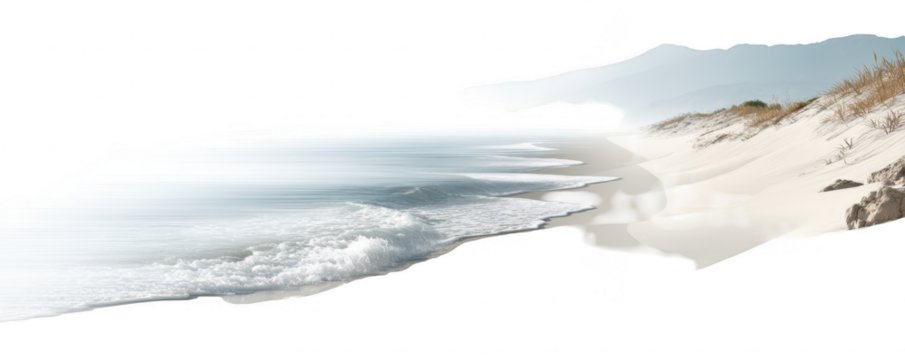 Coastal Waves Crashing Shore