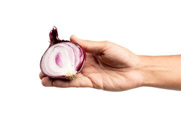 Male hand holding a sliced purple onion isolated no background cutout