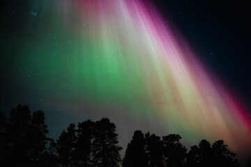 ノルウェー・トロムソの夜空に輝く幻想的なオーロラ