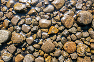 River Stones Covered by Clear Water