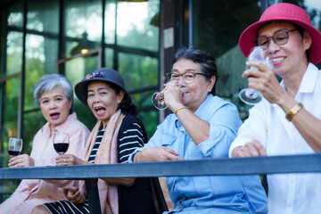 Senior Asian women smiling drinking wine celebrating friendship outdoor cafe casual clothing cheerful greenery background enjoying lifestyle leisure freedom retirement happiness