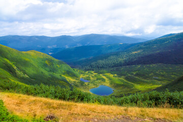 Fototapeta premium Fantastic scene of green meadows and forested mountain ranges in sunny weather. Location place Carpathians, Ukraine, Europe. Ecologically clean area. Photo wallpapers. Discovery the beauty of earth.