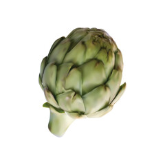 Obraz premium artichoke illustration on white backgorund vol 01