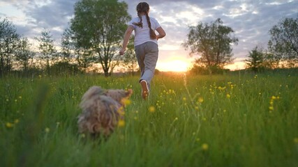 Girl with braids runs across sunset meadow. Puppy follows close behind child. Outdoor run through grass with dog chasing girl. Child runs free, happy puppy moves across soft green meadow under sunset. - Powered by Adobe
