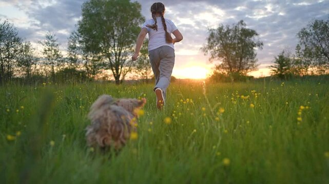 Girl with braids runs across sunset meadow. Puppy follows close behind child. Outdoor run through grass with dog chasing girl. Child runs free, happy puppy moves across soft green meadow under sunset.