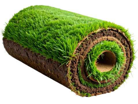 3D Curved Slice of Lawn Turf with Exposed Earth Layer, isolated on transparent background - Powered by Adobe