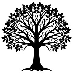 Obraz premium tree with leaves