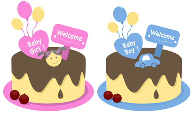 Pink and Blue Cake for Gender Reveal Party