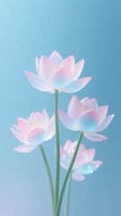 Fototapeta premium Delicate pink lotus flowers with a soft blue - pink gradient against a light blue background