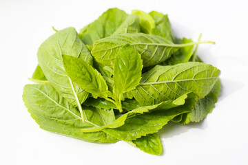 Holy basil leaves on white background.